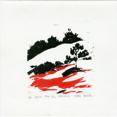 Petit pin du Ventoux