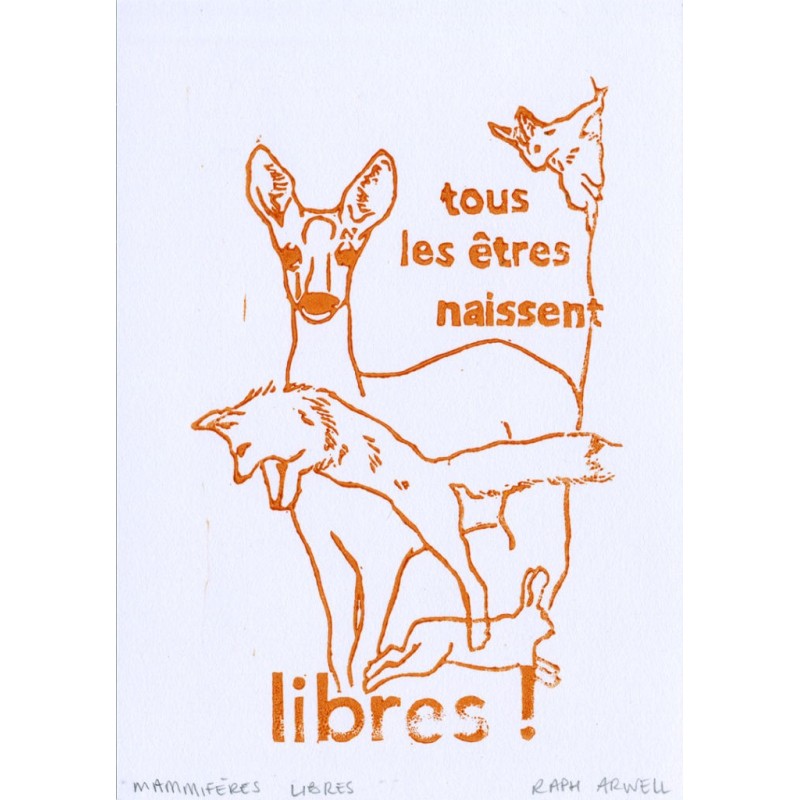 Tous les êtres naissent libres