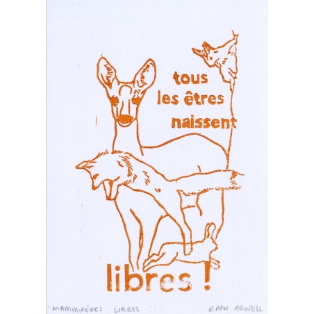 Tous les êtres naissent libres