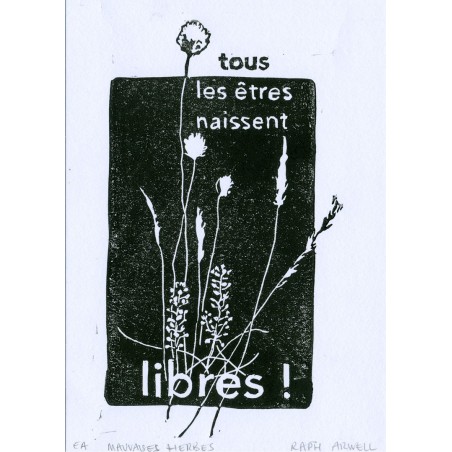 Herbes sauvages - Tous les êtres naissent libres