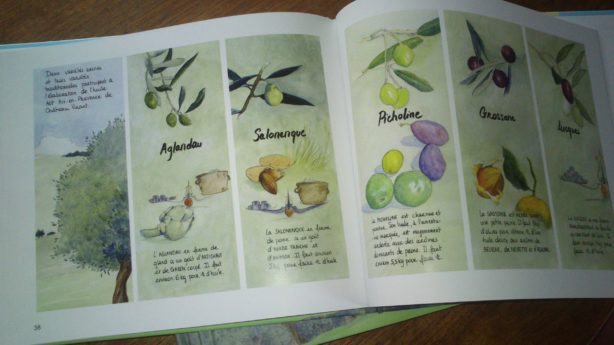 livres olives variétés